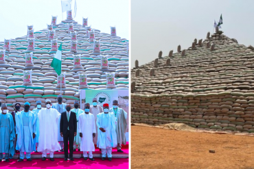Abuja rice pyramid: Dem use wood pad rice pyramid wey Buhari unveil?