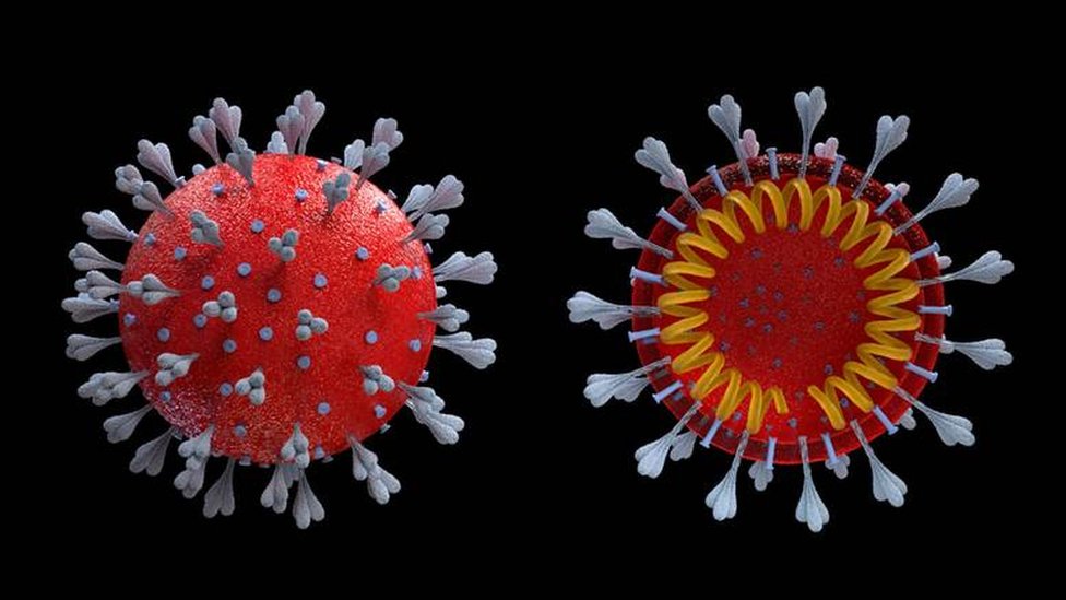 Coronavirus