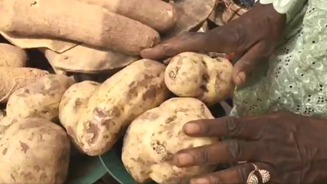 Potato trader for Oyo State