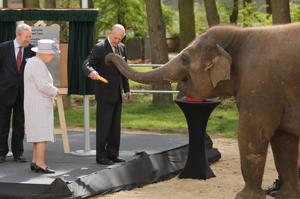 Queen Elizabeth II and di Duke of Edinburgh wit elephant for ZSL Whipsnade Zoo, where dem officially open di zoo new Centre for Elephant Care as part of visit to Bedfordshire