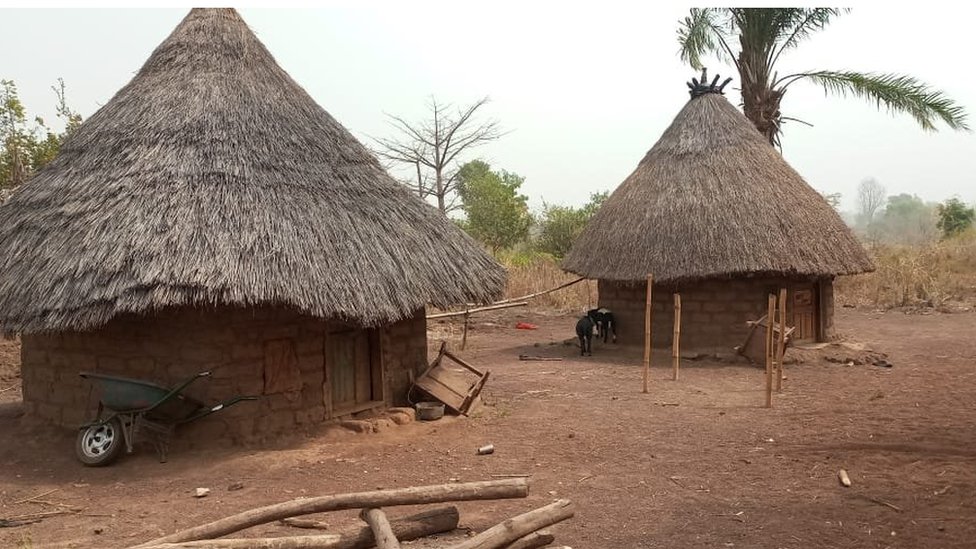 Thatch huts for Gaav Konshisha Local Government Area of Benue State