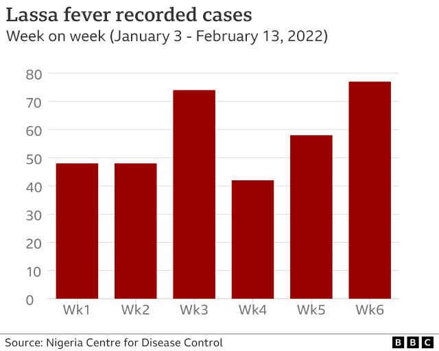 Lassa Fever cases