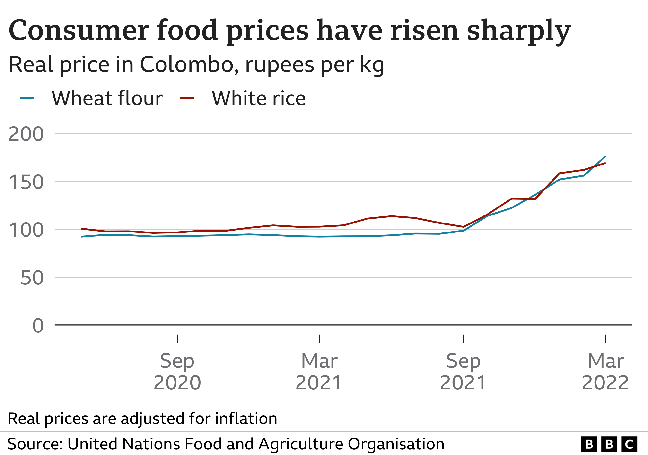 Line chart showing rising prices of wheat flour and white rice in Colombo