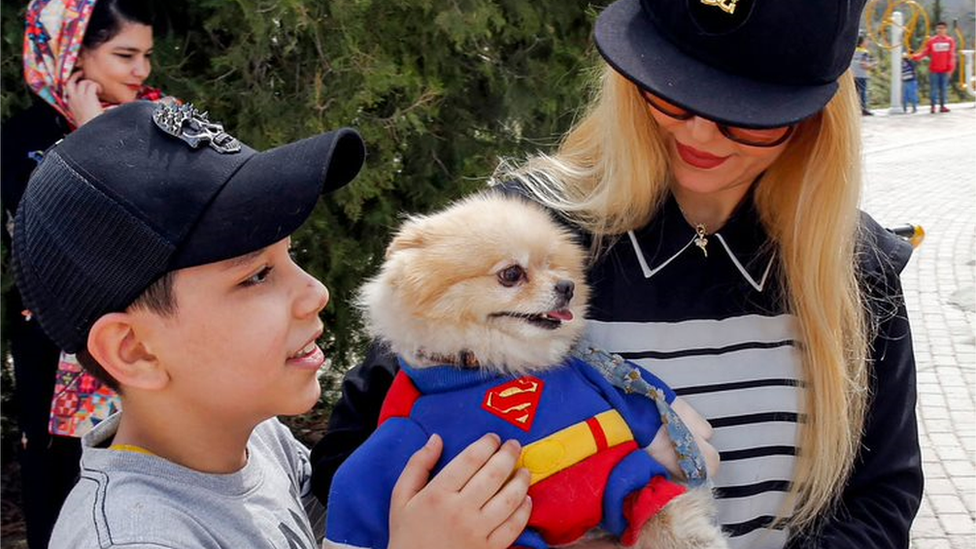 One Iranian family wit dog dem dress as Superman