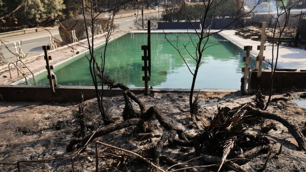 Charred trees near a swimming pool in France