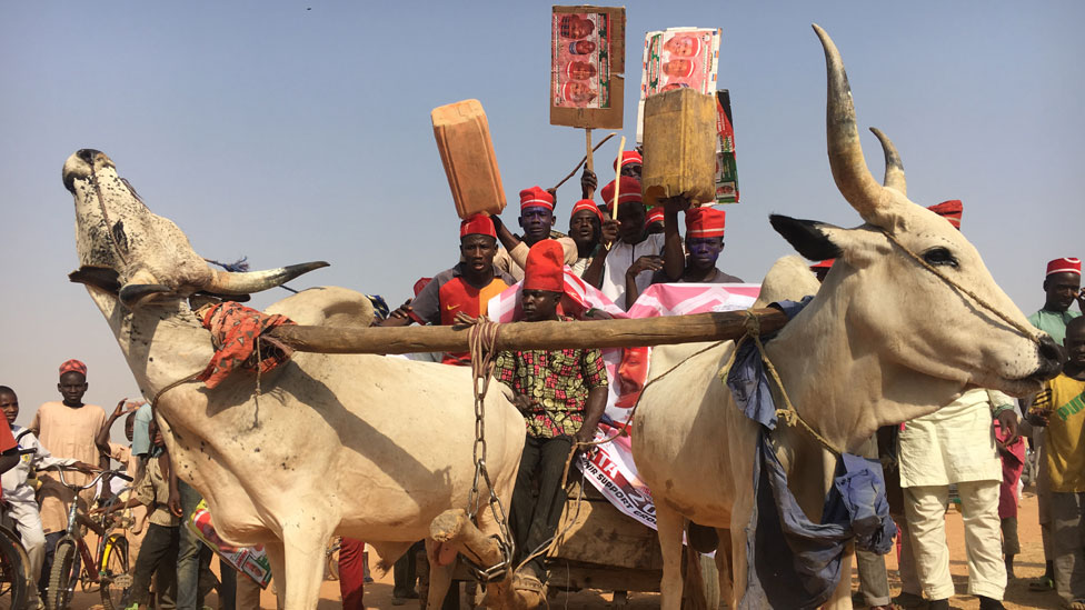 Supporters of Rabiu Kwankwaso, wear red caps, ontop cattle campaign cart for Kano state, Nigeria