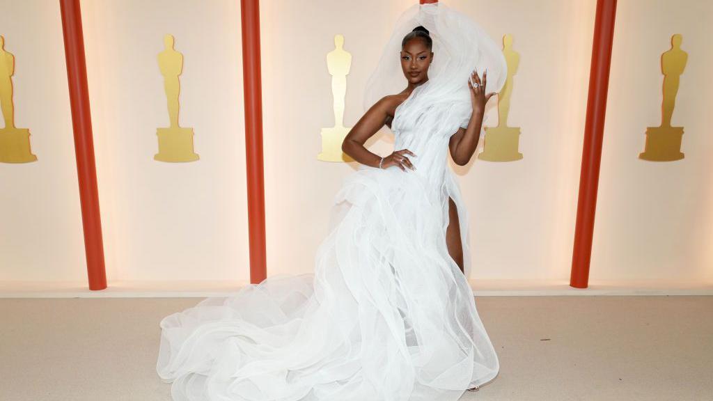 Dis dress make pipo para for social media say she block oda pipo wey go di Academy Awards