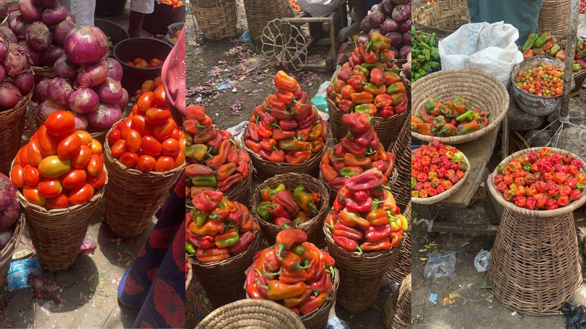 Pepper, Tomato and Tatashe for market don cost