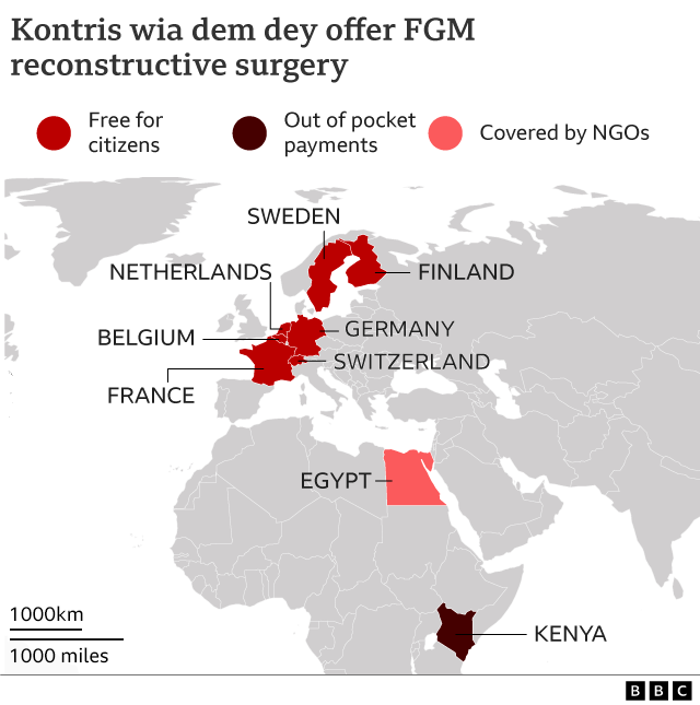 Locator map of countries offering surgery for Africa and Europe