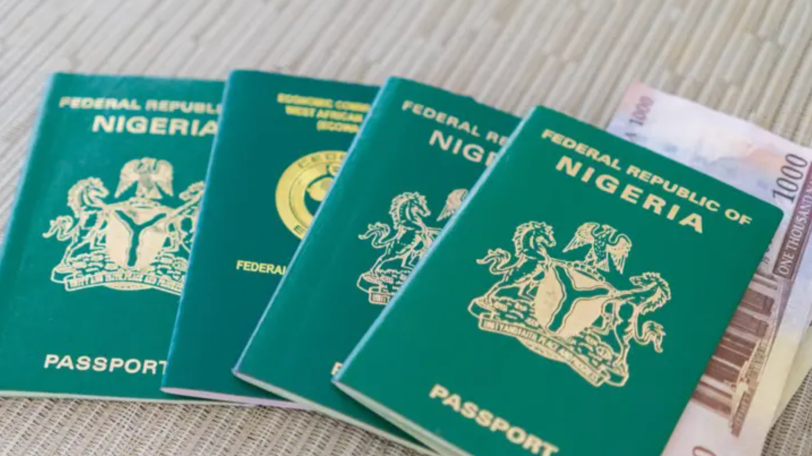 Nigeria Passport