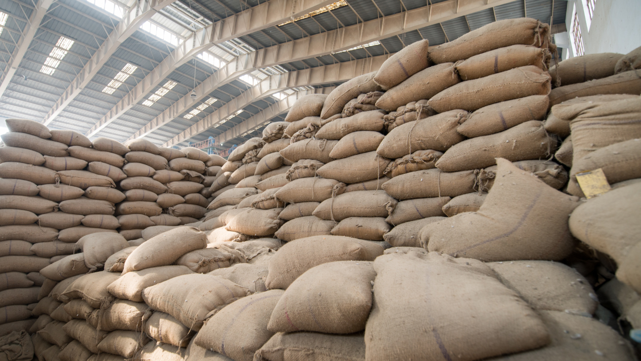 stack of grains