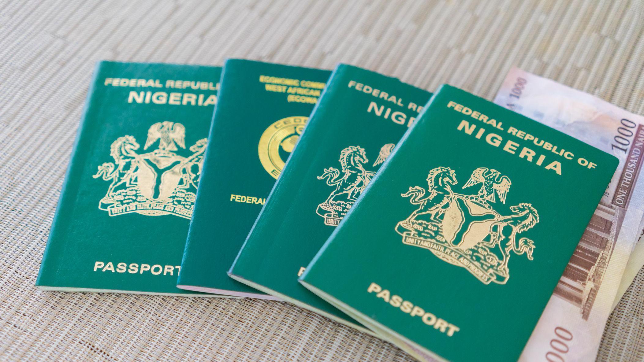 International passport