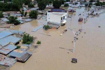 Alau dam burst, wild animals escape and wetin we know about Maiduguri flood wey don render many homeless