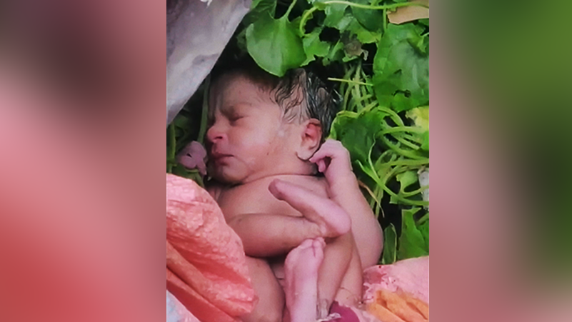 Camera photo of a newborn baby dem throw way inside bush