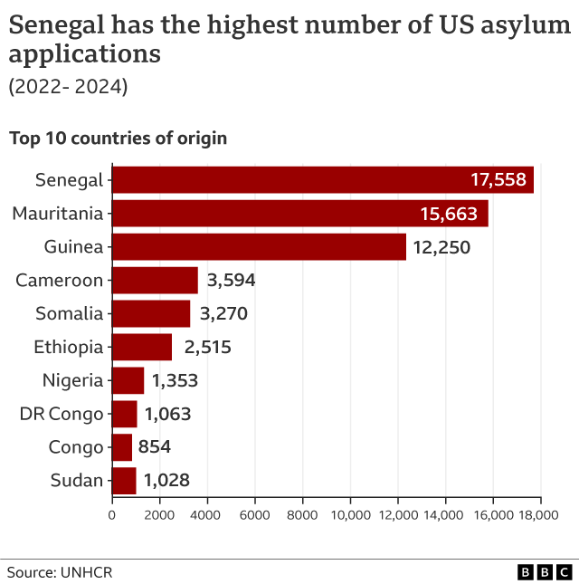 Graph of new asylum applications from Senegalese citizens from 2022 to 2024