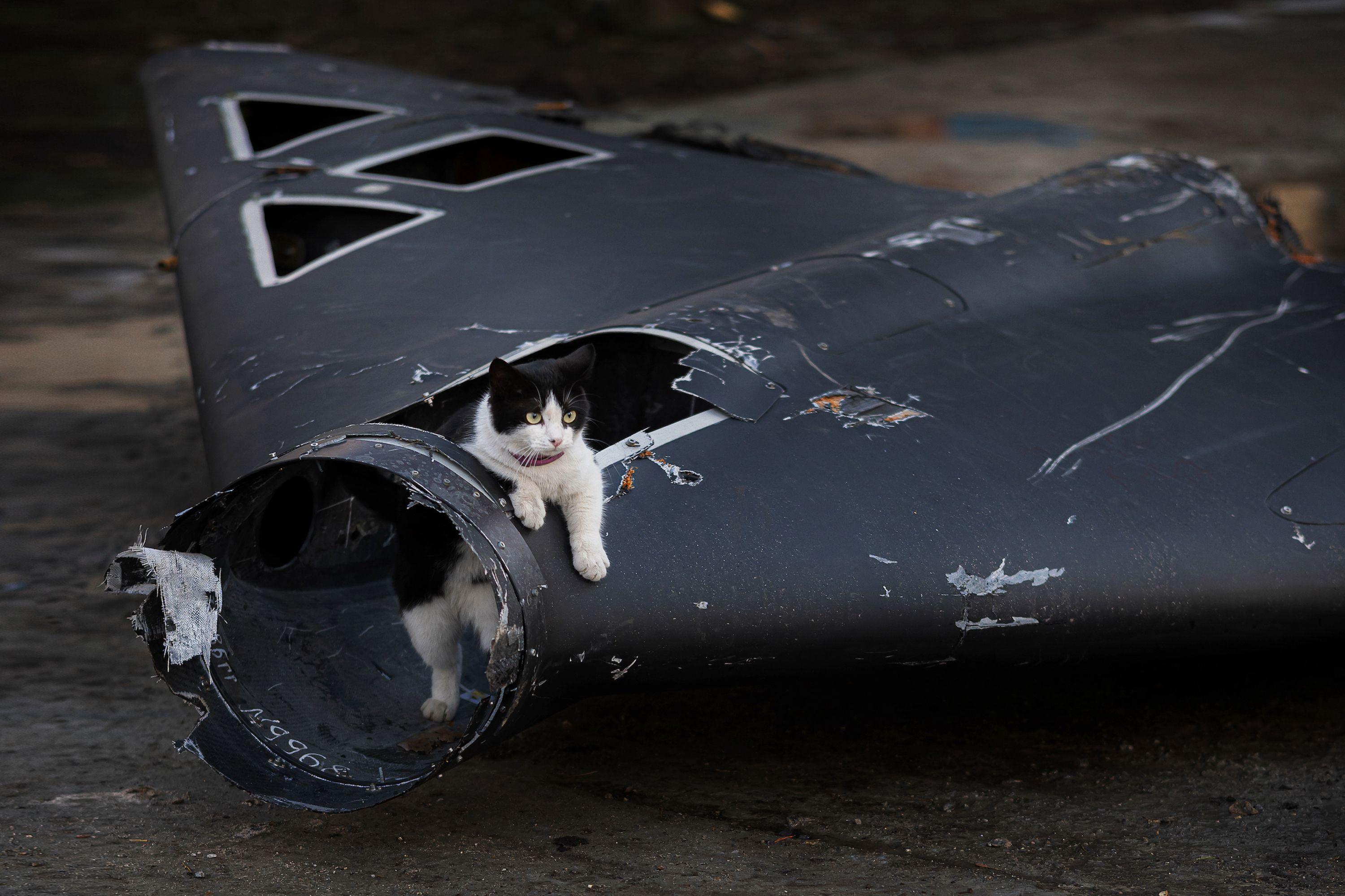 Cat perche for wetin remain of one Shahed drone wey Ukrainian air defences shoot down inside one residential area for Kharkiv