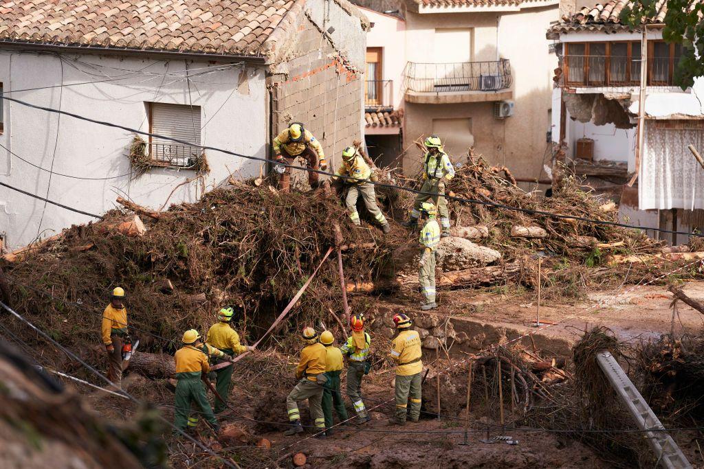 Relief workers on top tree branches in a street